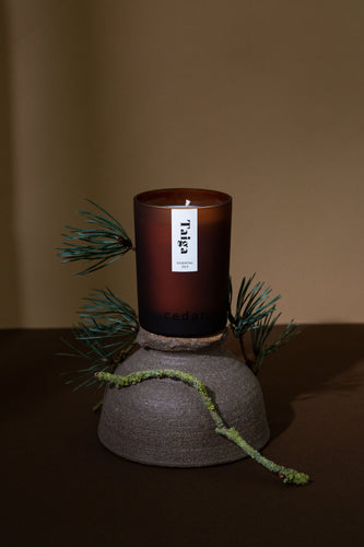 Taiga - Large Essential Oil Candle - 280g